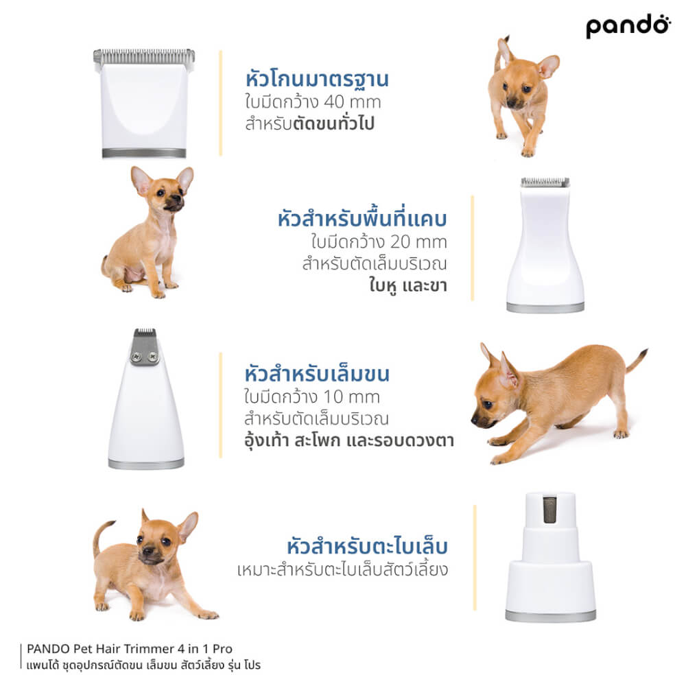 ชุดกรรไกรตัดเล็บและขนสัตว์เลี้ยง PANDO รุ่น PRO